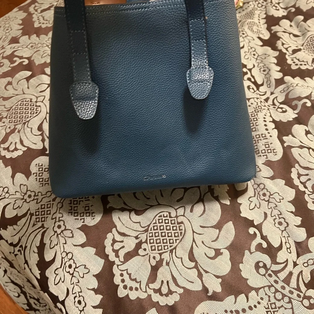 C.Paravano Peacock Purse - Picture 3 of 8